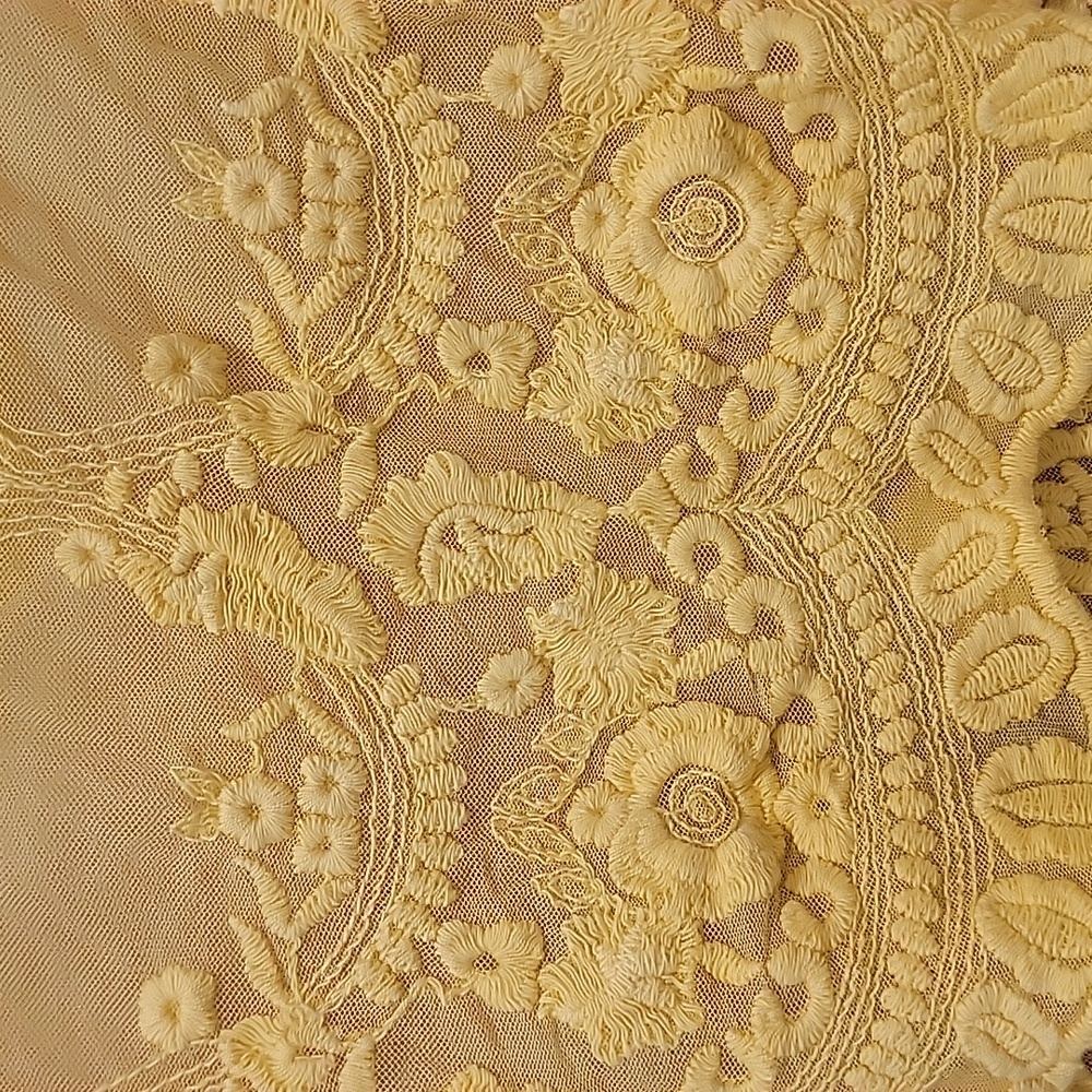 Deja Vu Sleeveless Mini Embroidered Mesh Lace Dress Size Small - Picture 5 of 12